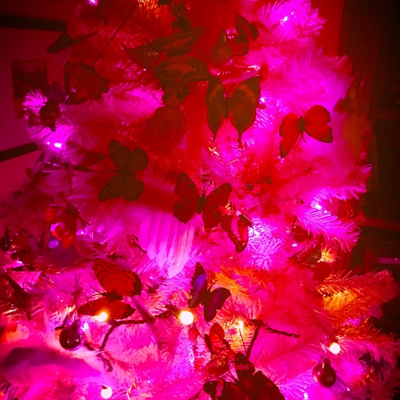 AMBASSADOR POSH 🇺🇸 SHARE MINE & I SHARE YOURS👍 - Picture 1 of 4